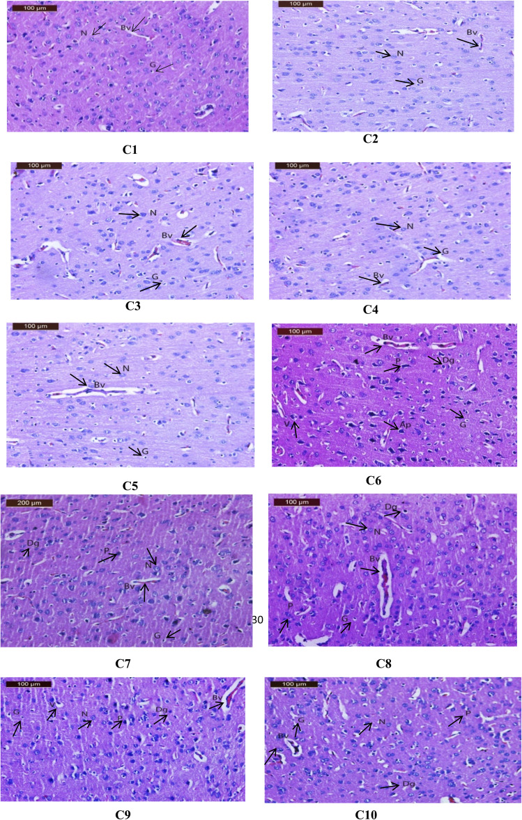 Fig. 7