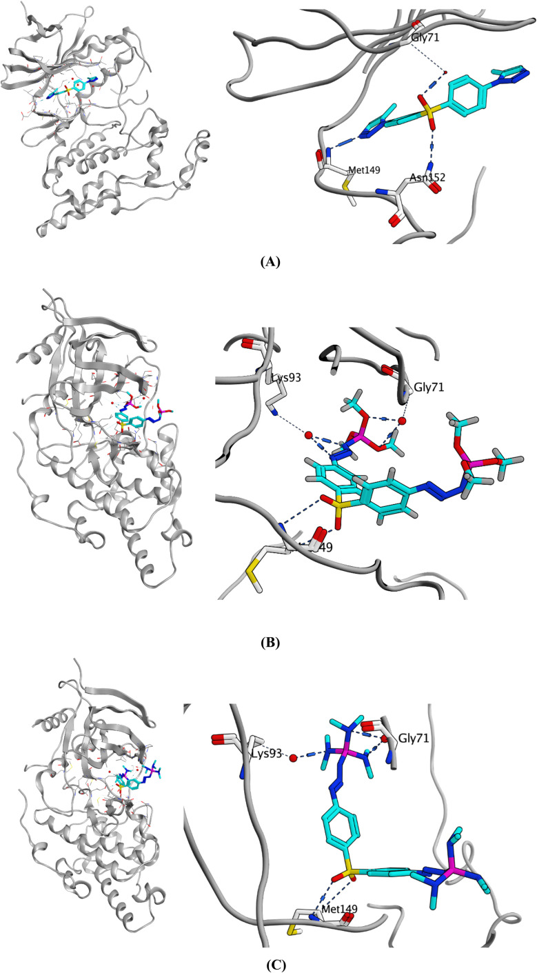 Fig. 9