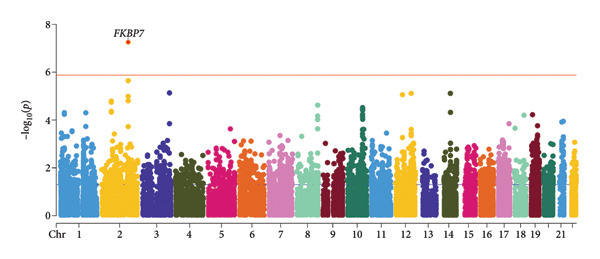 Figure 5