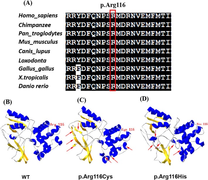 FIGURE 2