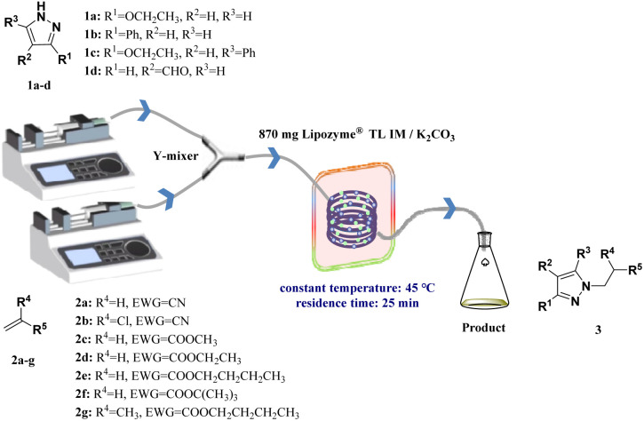Fig. 8