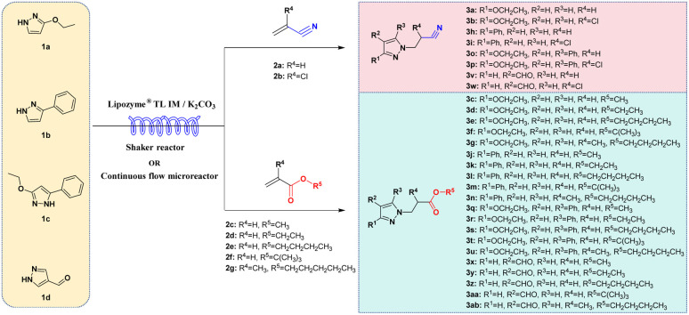 Scheme 1