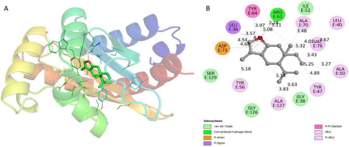 FIGURE 7