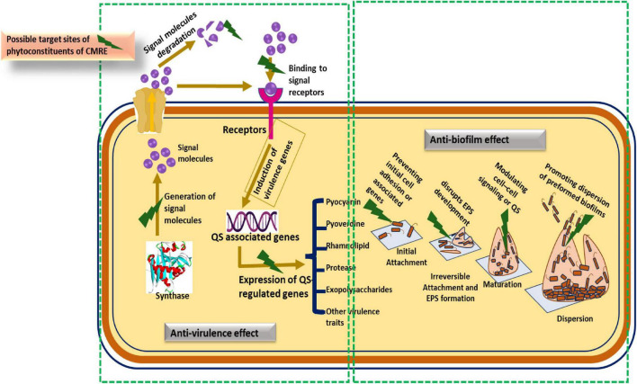 FIGURE 12