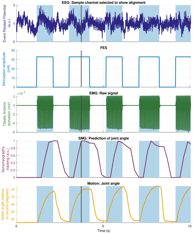 Figure 5
