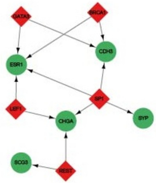 Figure 7
