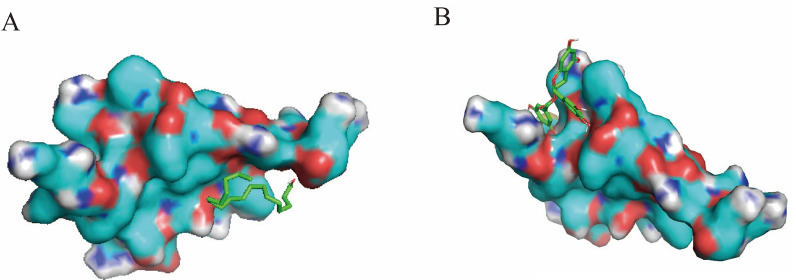 Figure 9