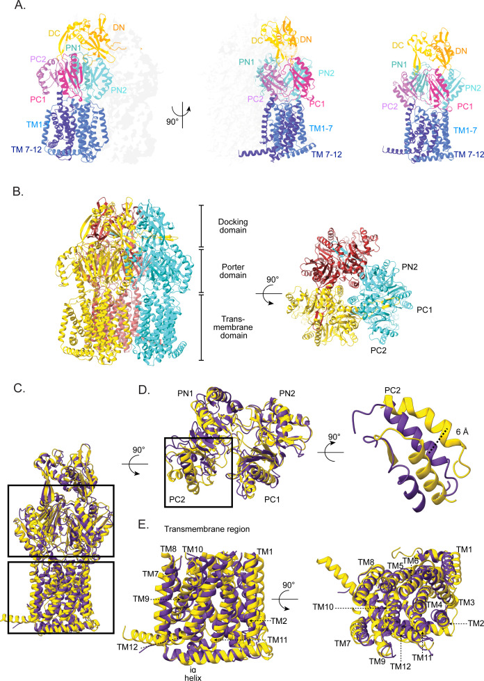 Fig 2
