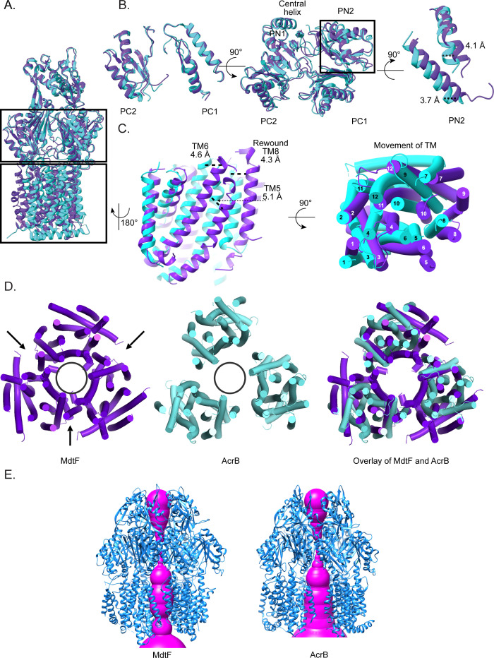 Fig 4