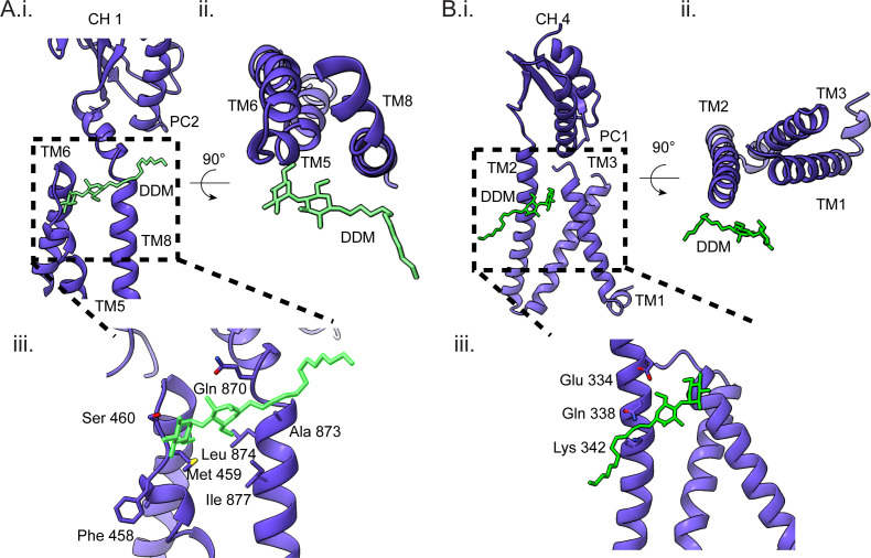 Fig 5