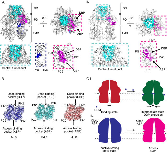 Fig 6
