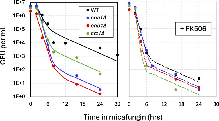 Fig 3