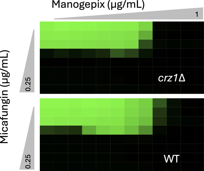 Fig 5