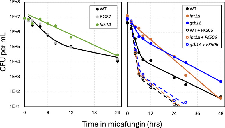 Fig 6