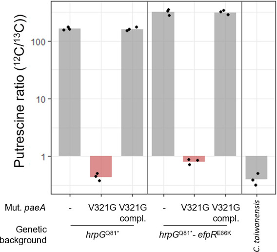 Fig 6