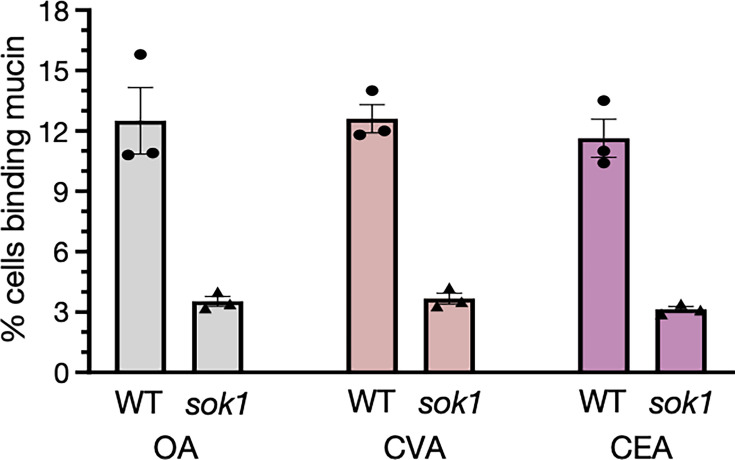 Fig 6
