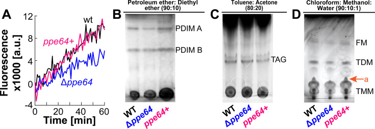 Fig 4
