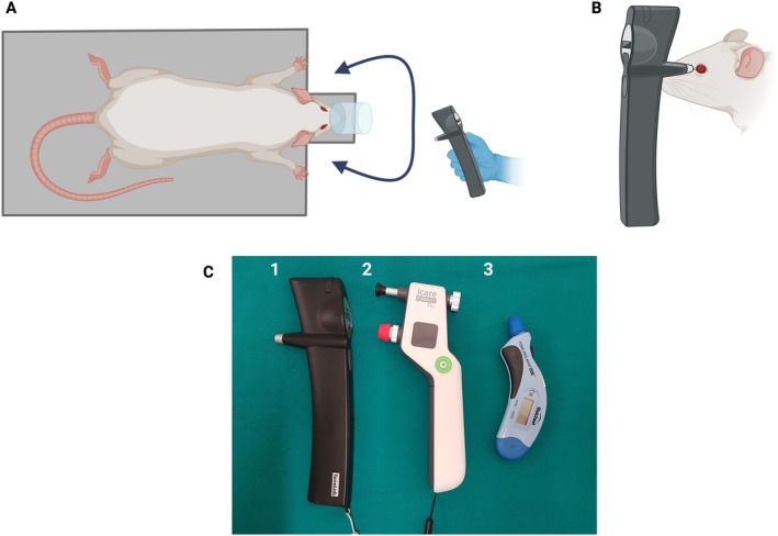 FIGURE 1