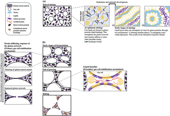 FIGURE 3