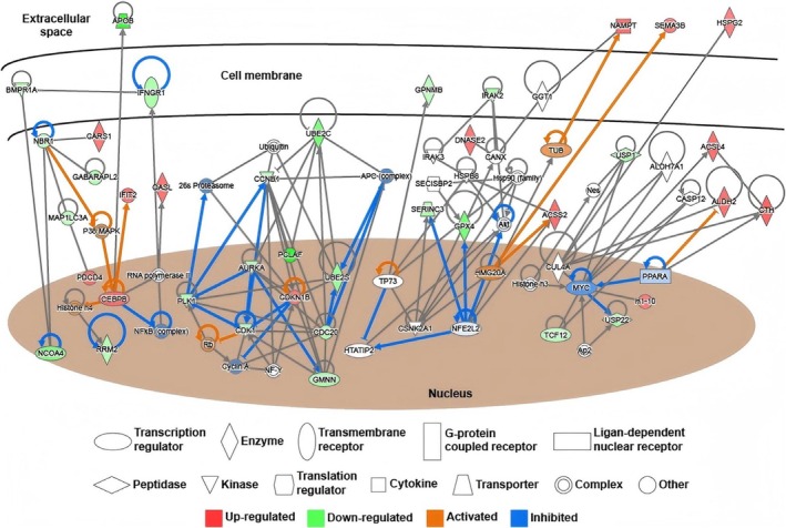 FIGURE 4