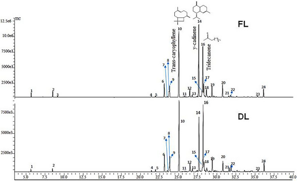 FIGURE 1