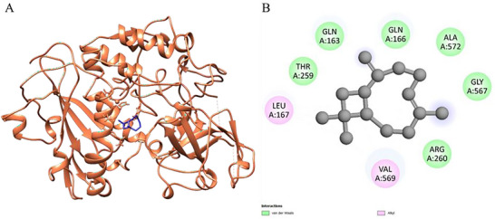 FIGURE 4