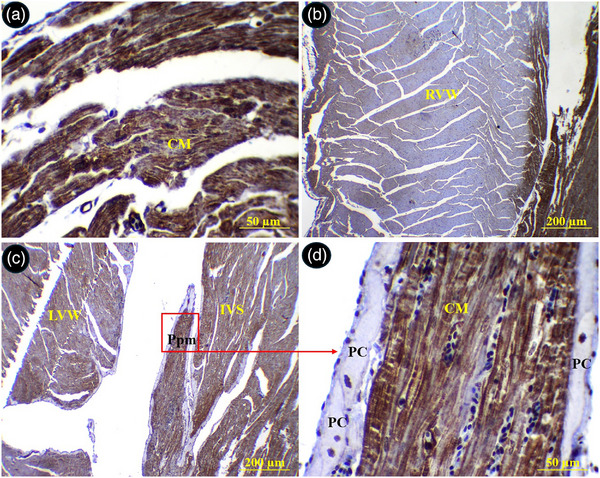 FIGURE 14