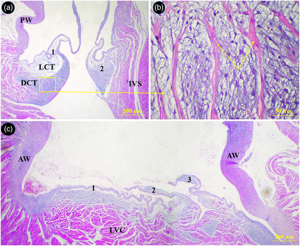 FIGURE 9