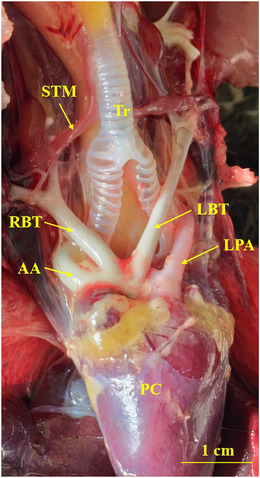 FIGURE 3
