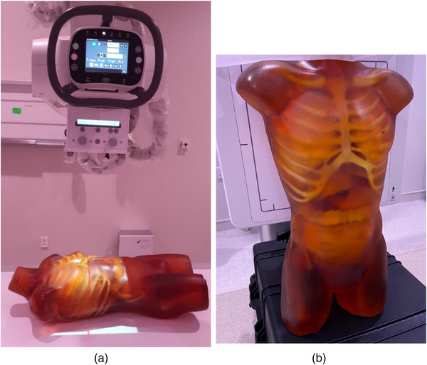 FIGURE 1