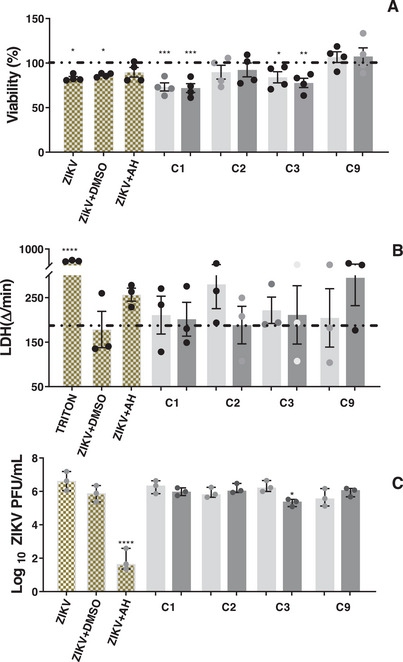 FIGURE 4