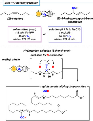 SCHEME 3