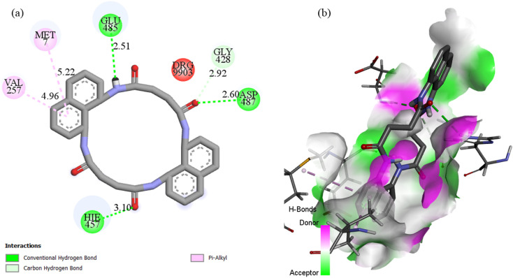 Fig. 18