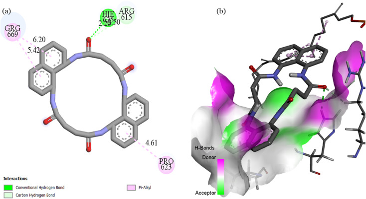 Fig. 19