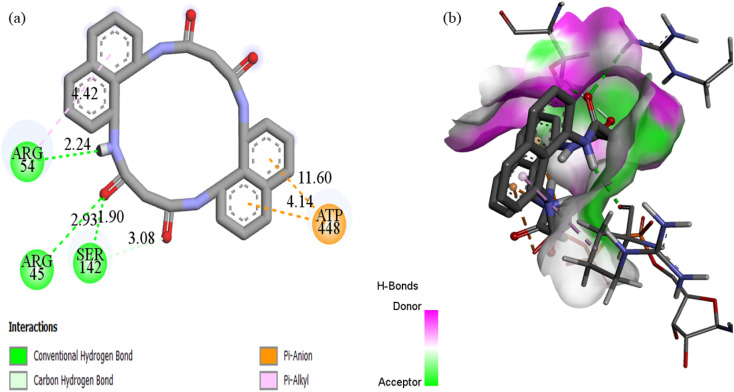 Fig. 20