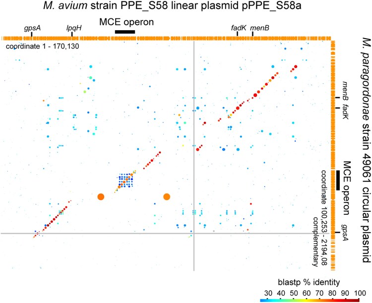 Fig. 7