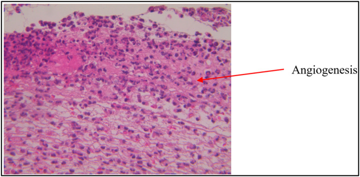 Figure 9