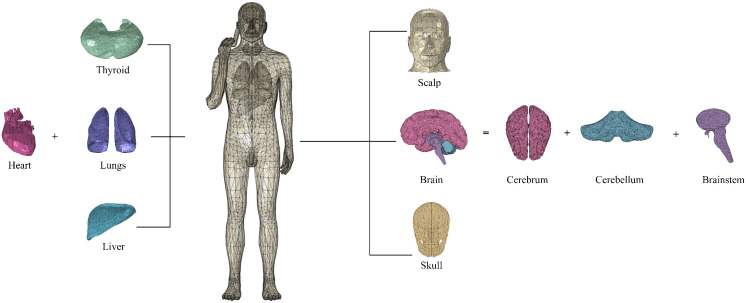 Fig 5