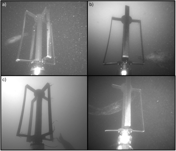 Fig 11