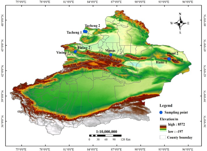 Figure 6