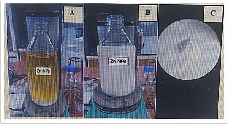 Figure 2