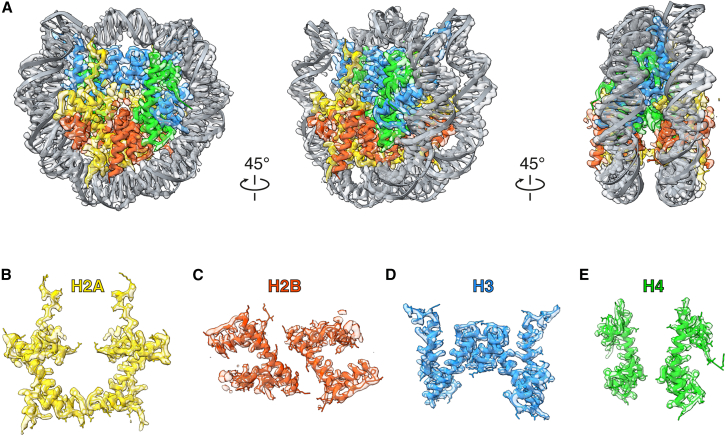 Figure 4