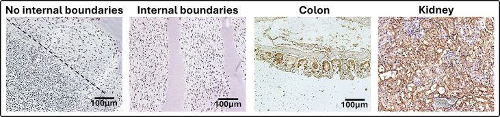 Figure 19