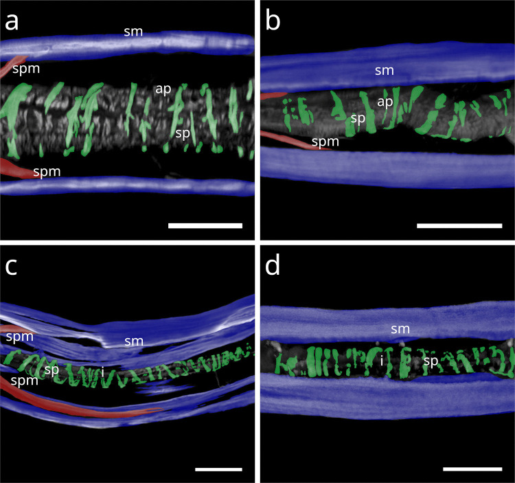Figure 15