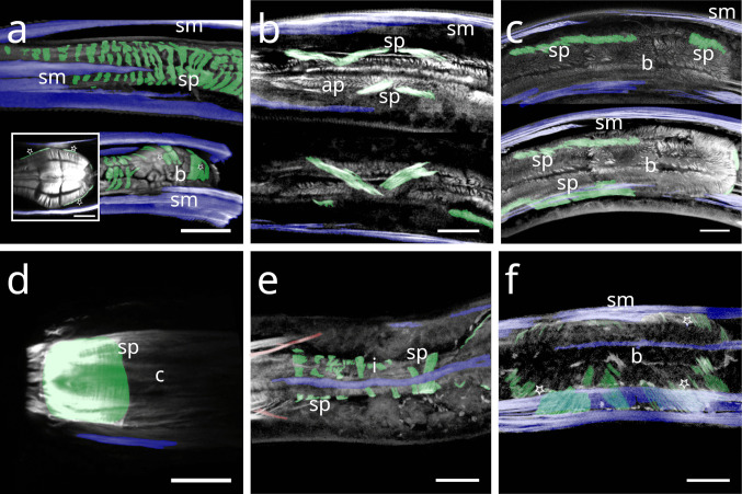 Figure 17