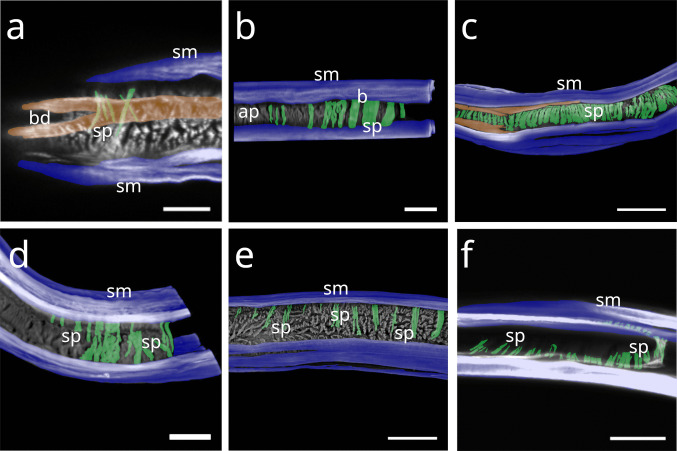 Figure 18