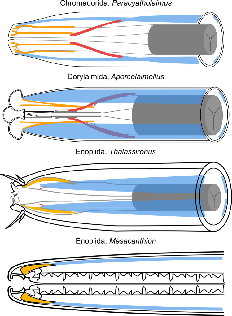 Figure 20