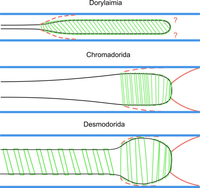 Figure 21