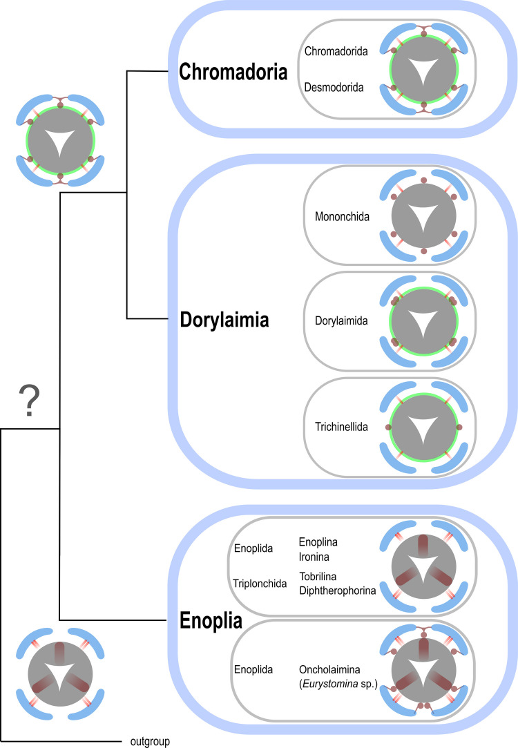 Figure 23
