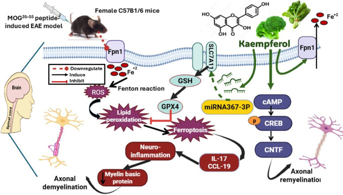 Figure 13